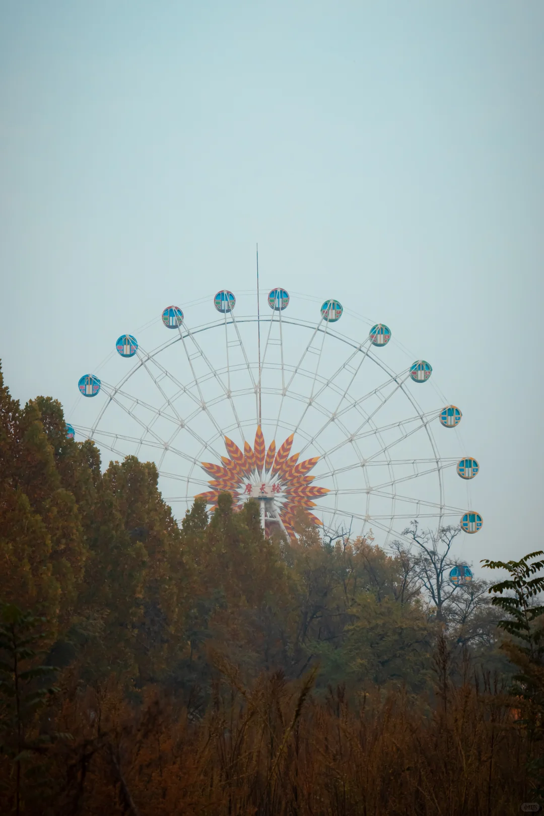 我刚知道...原来邢襄生态园就是森林公园