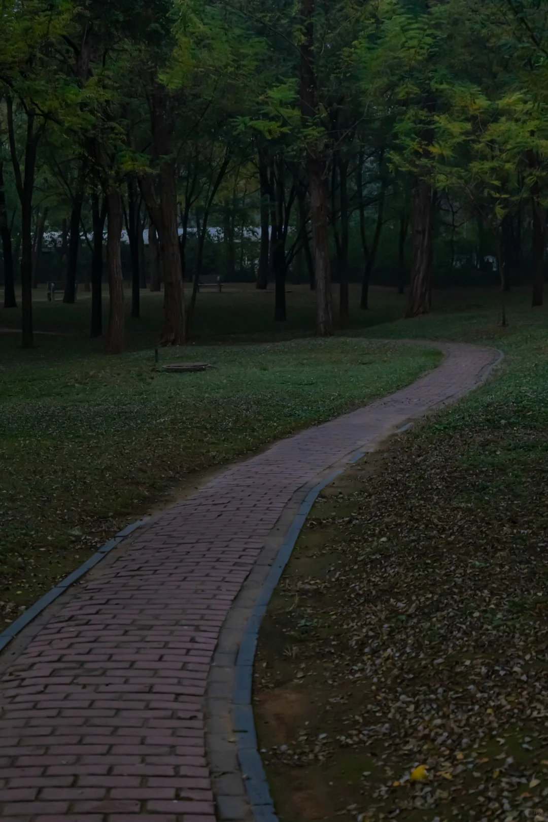 我刚知道...原来邢襄生态园就是森林公园