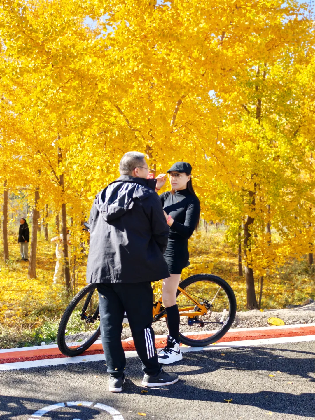 绝美的邢台沙河栾卸银杏林