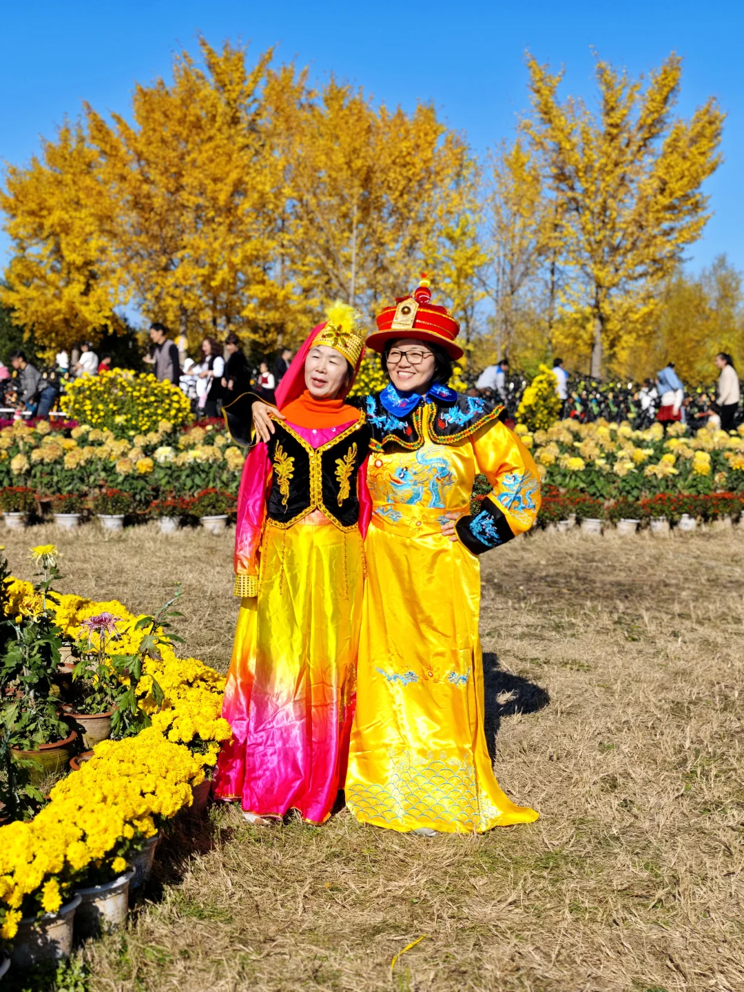 绝美的邢台沙河栾卸银杏林