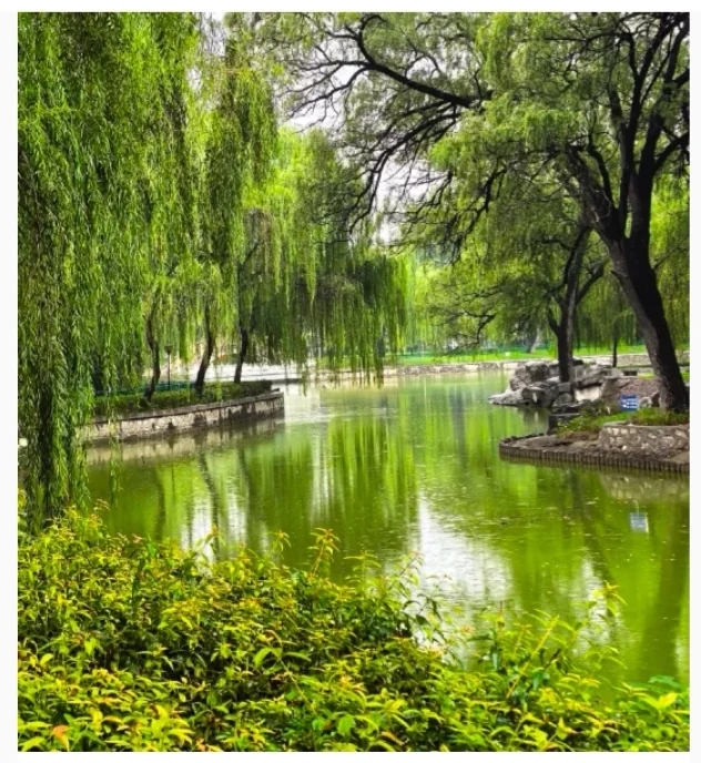 2025.9.23邢台一日游