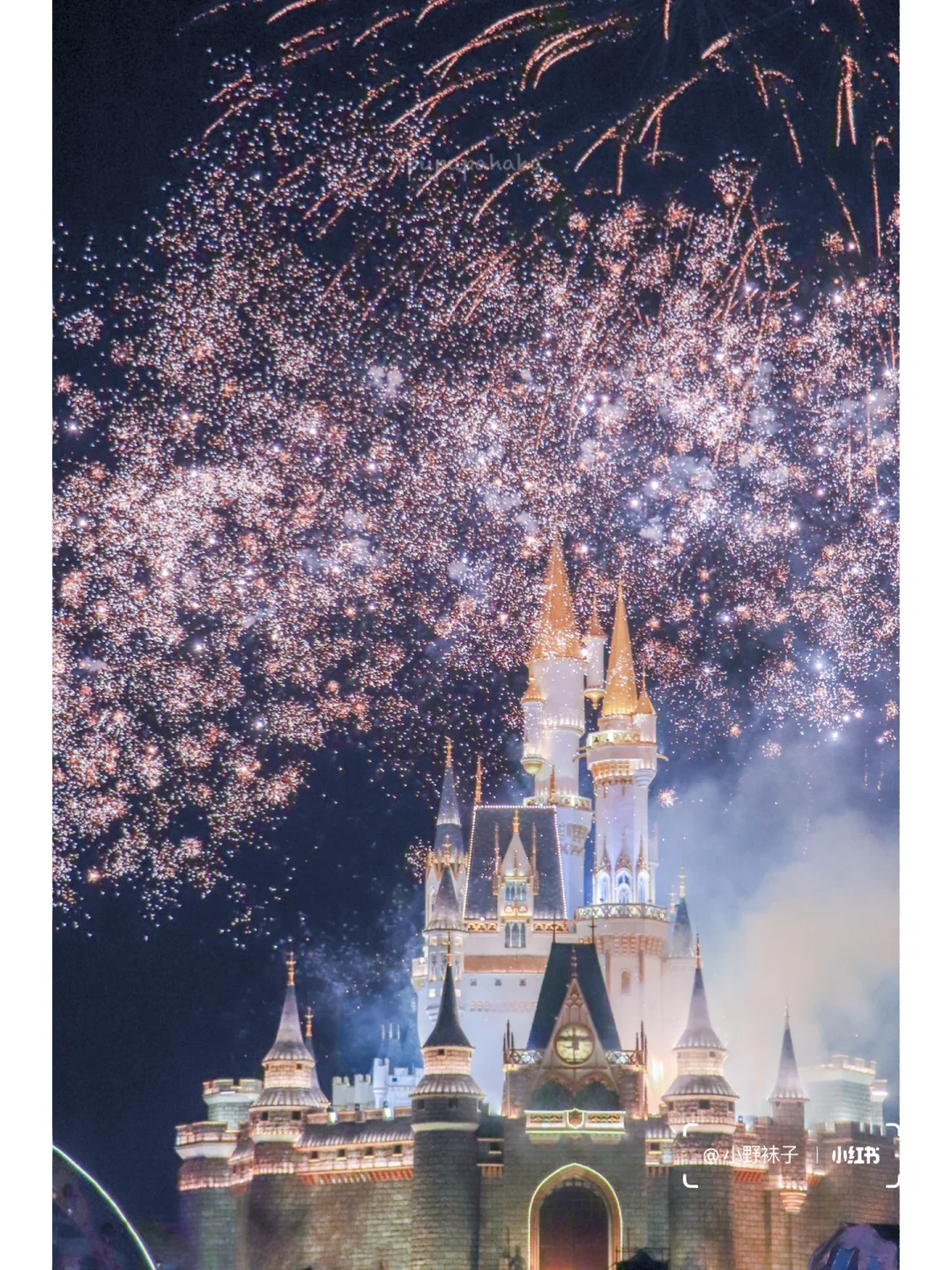 邢台到泉城| 不亏❗️迪士尼泉城分尼体验❗️