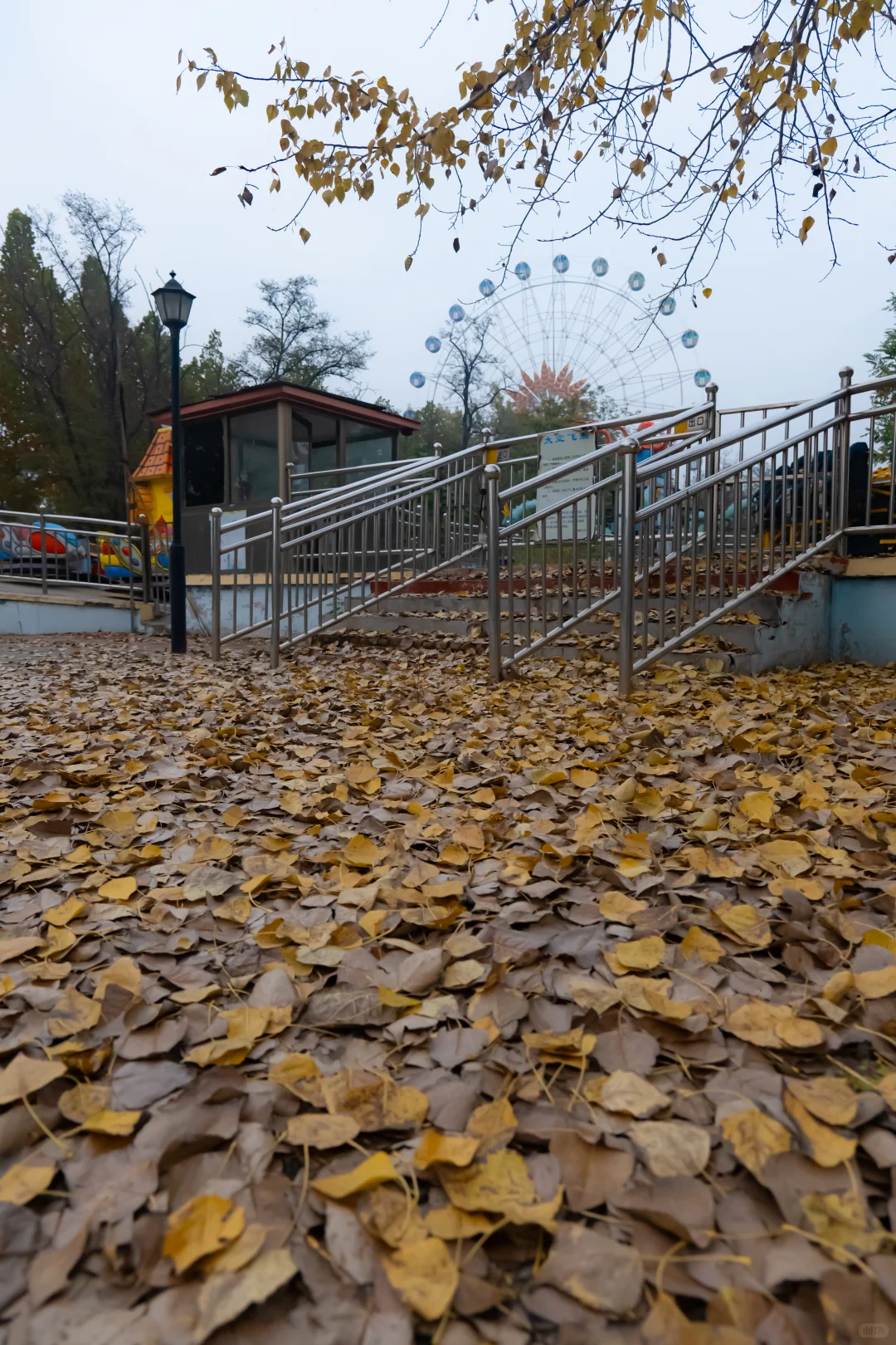我刚知道...原来邢襄生态园就是森林公园