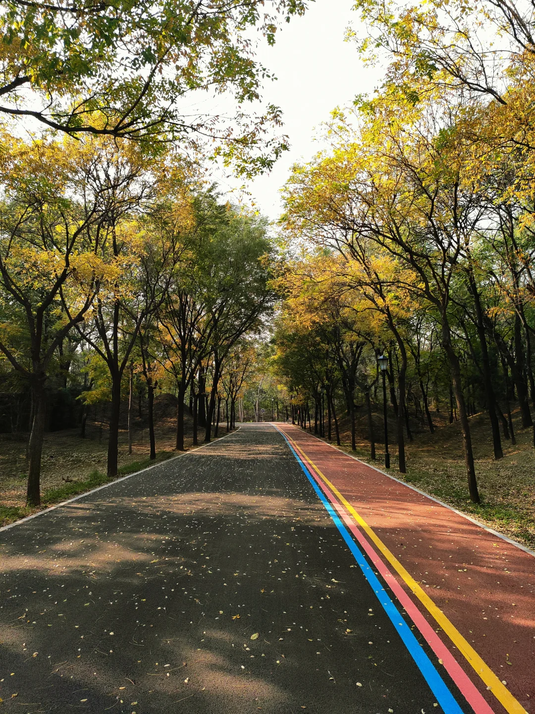 邢台｜这个不花钱的公园也太好拍了！