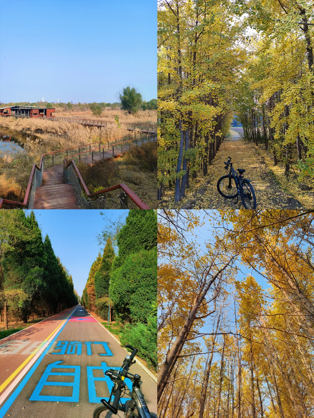 邢台｜这个不花钱的公园也太好拍了！