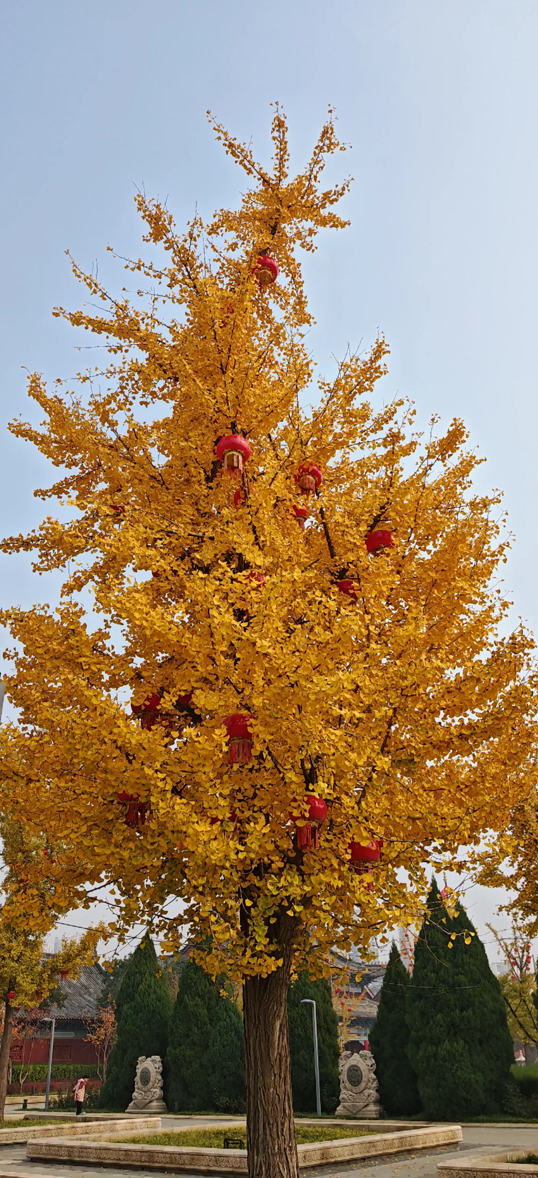 河北 邢台 一游 两日