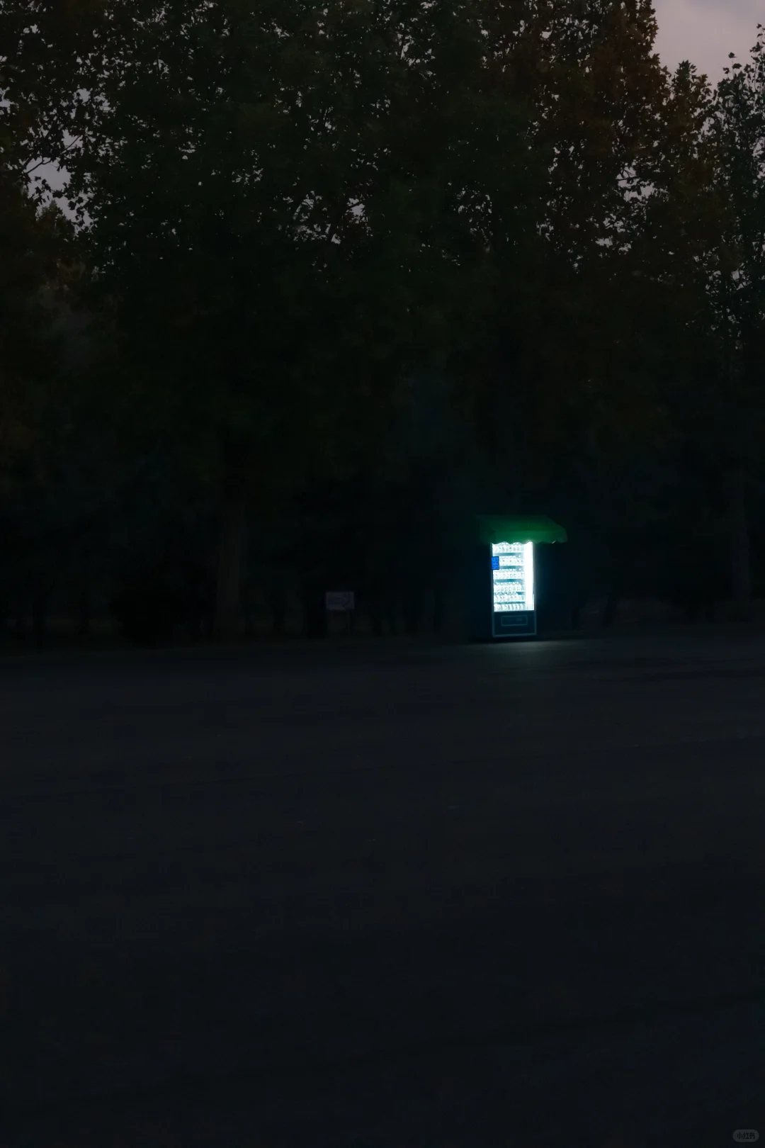 我刚知道...原来邢襄生态园就是森林公园