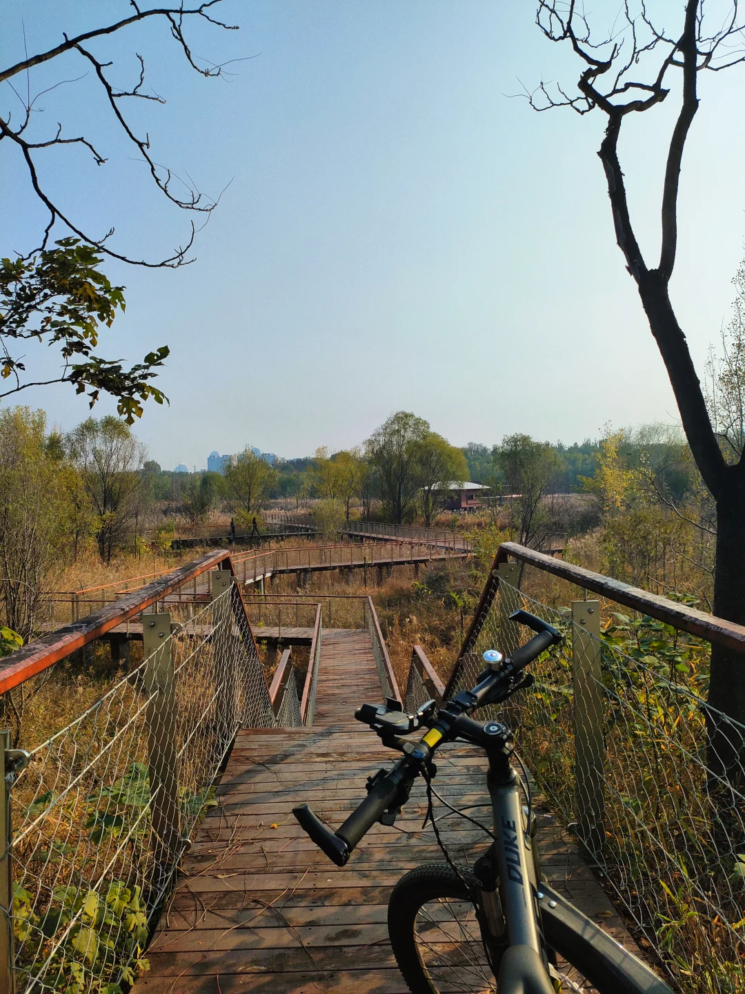 邢台｜这个不花钱的公园也太好拍了！