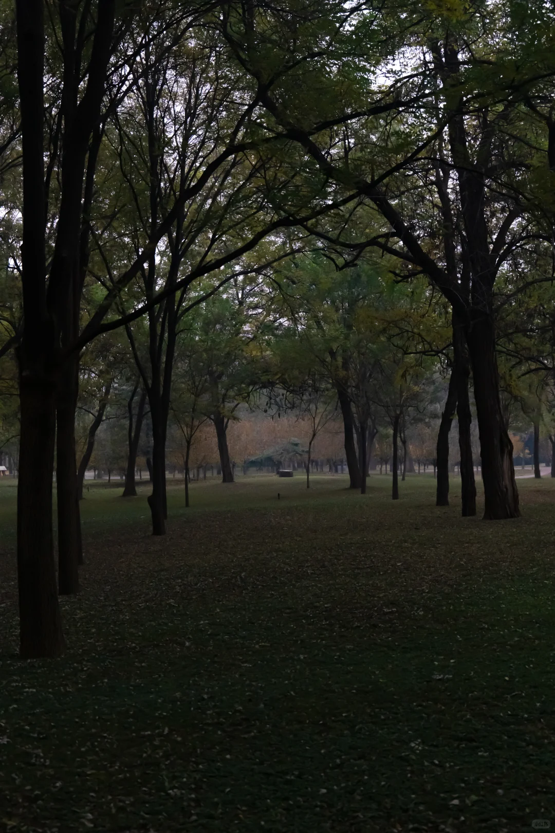 我刚知道...原来邢襄生态园就是森林公园