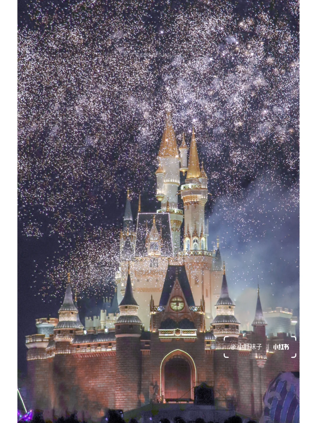 邢台到泉城| 不亏❗️迪士尼泉城分尼体验❗️