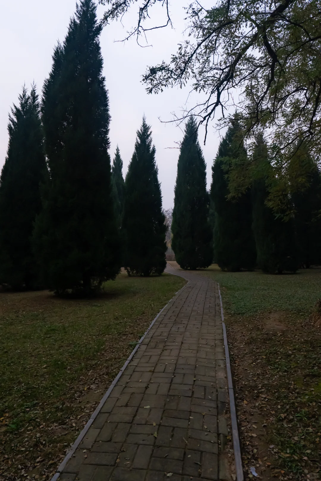 我刚知道...原来邢襄生态园就是森林公园