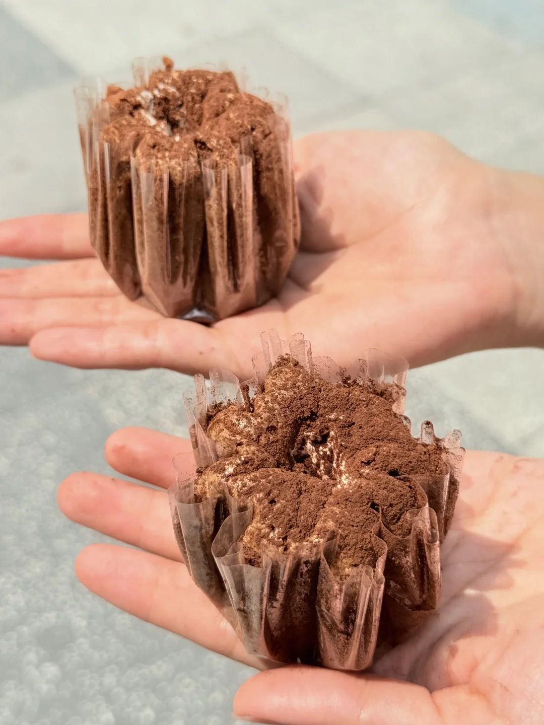 谁能从邢台帮我带一份这个啊！！！！