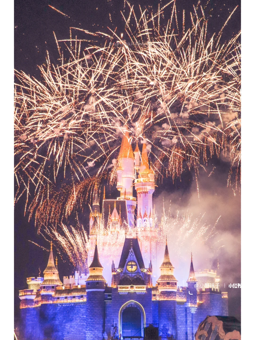 邢台到泉城| 不亏❗️迪士尼泉城分尼体验❗️