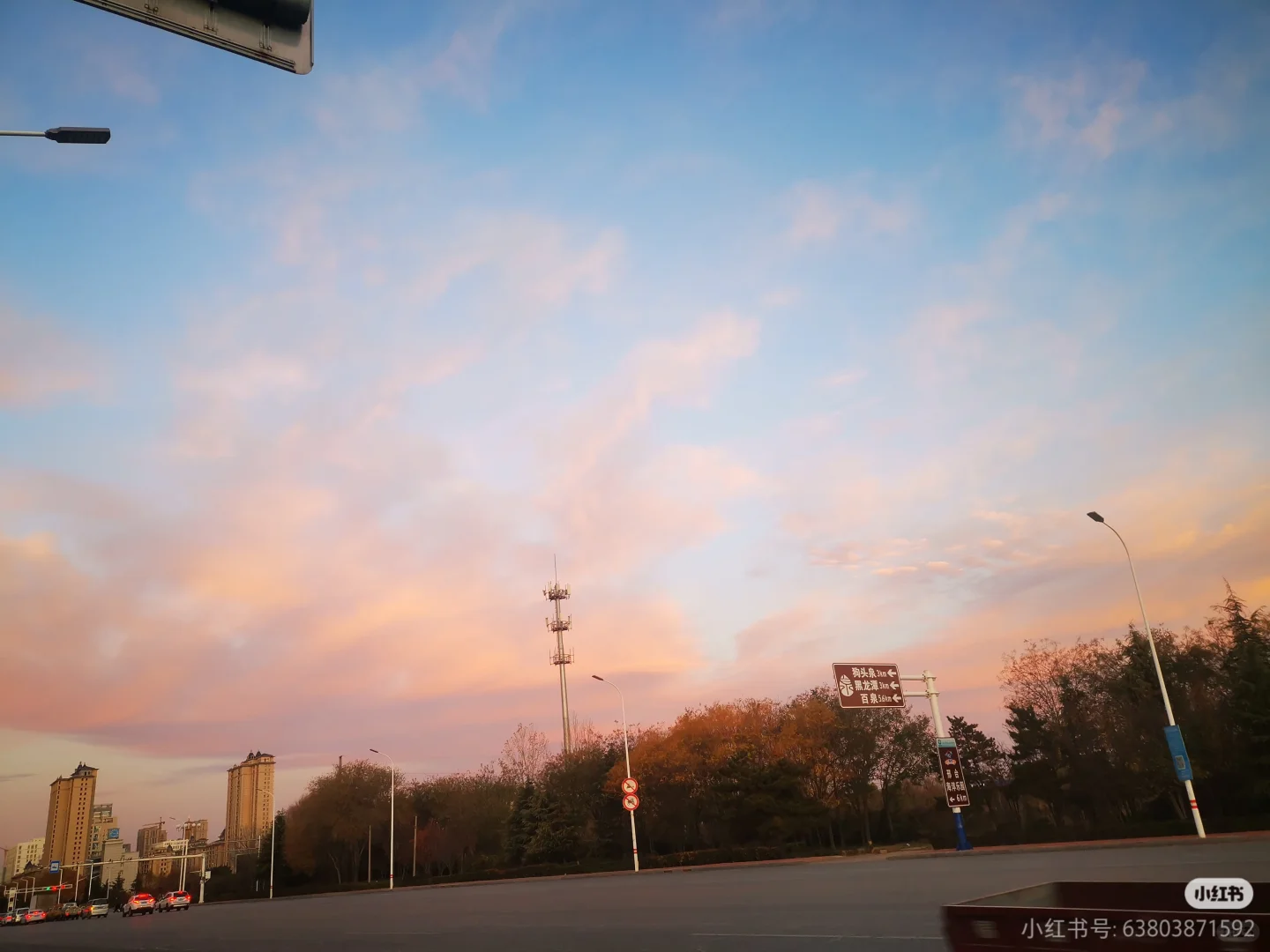 91老阿姨自救贴