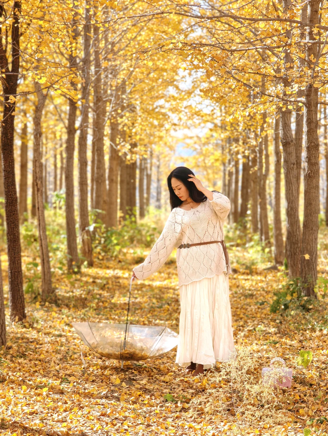 绝美的邢台沙河栾卸银杏林