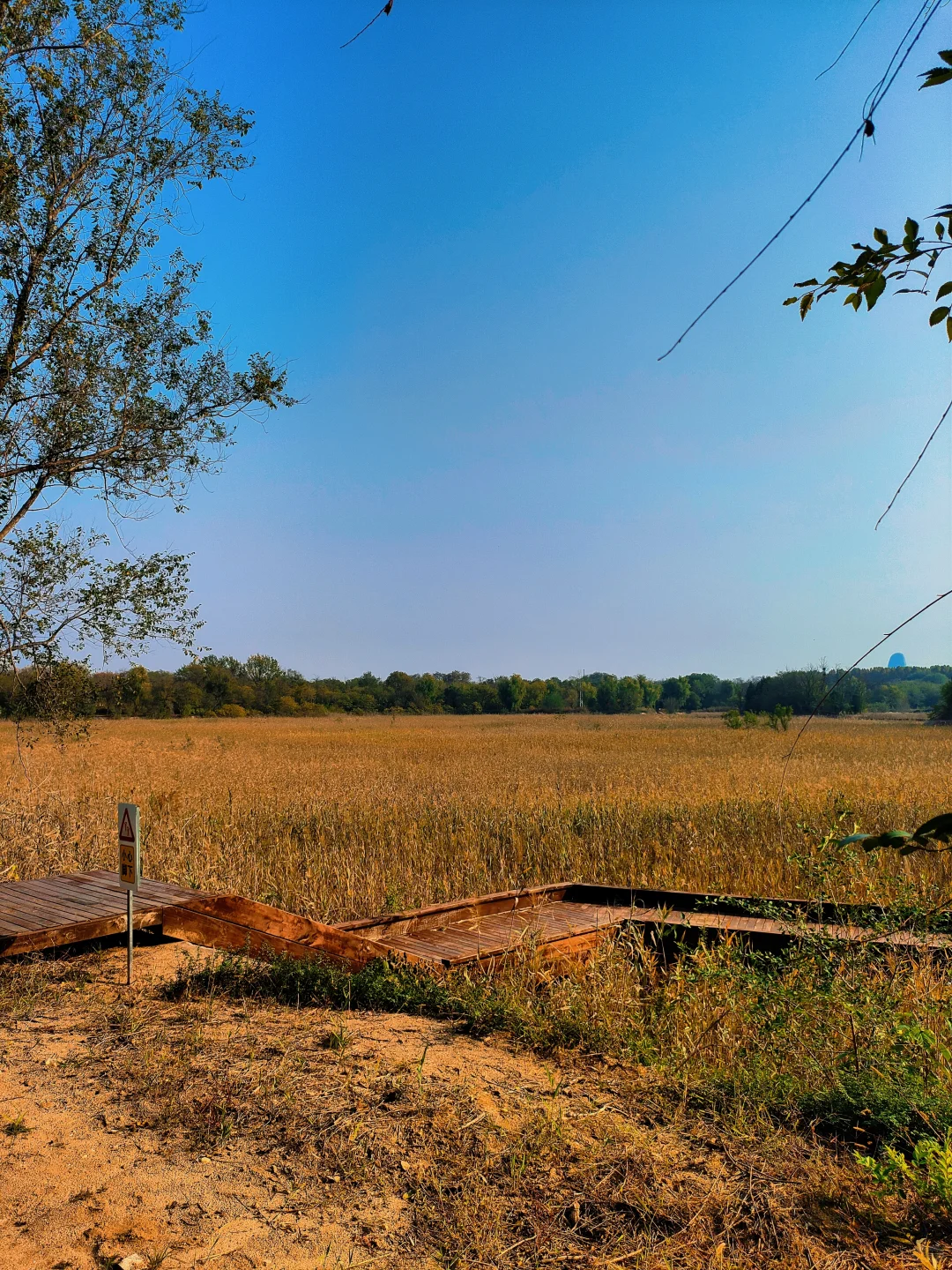 邢台｜这个不花钱的公园也太好拍了！