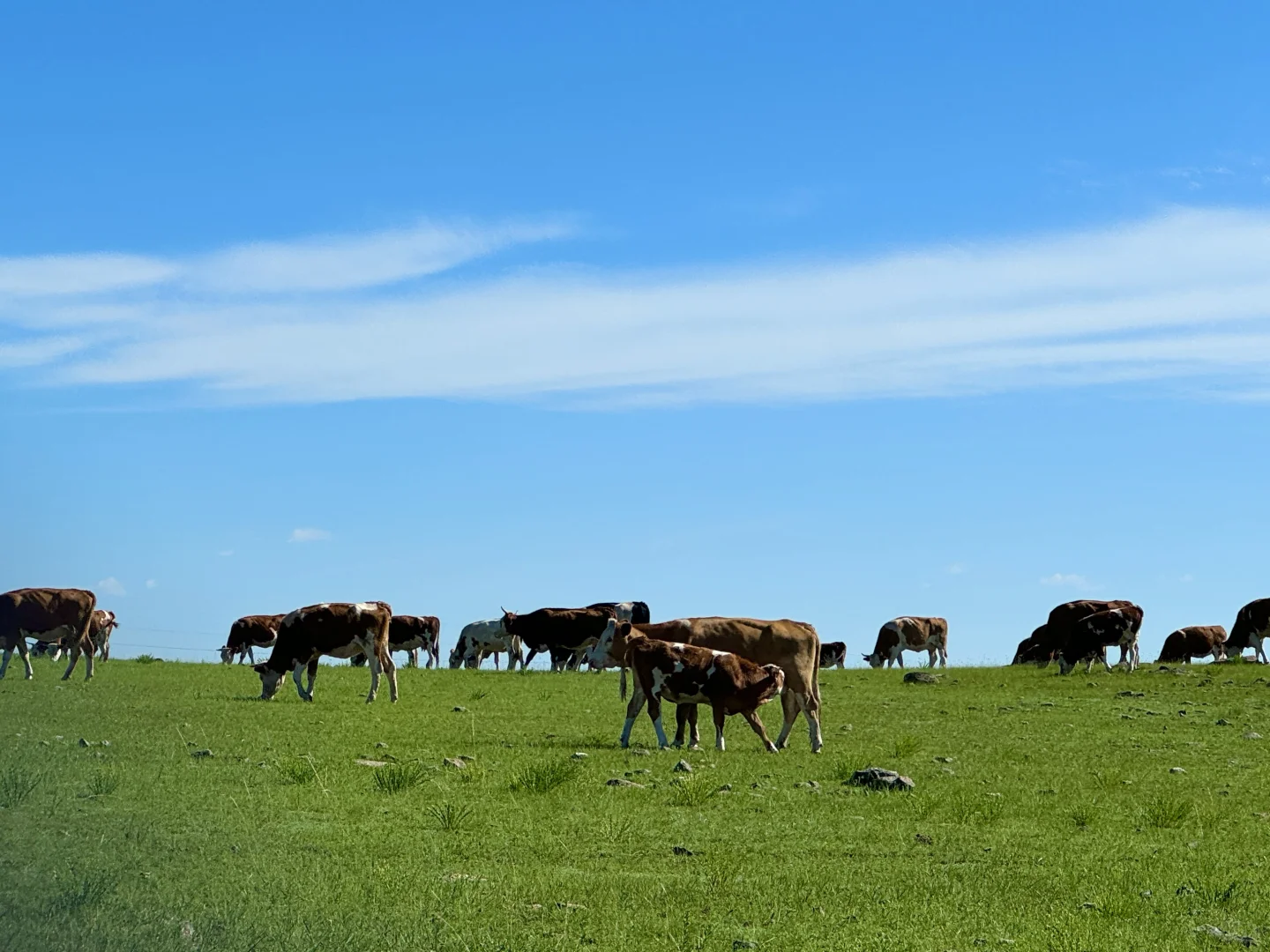 邢台宁晋之自驾🚗乌兰察布