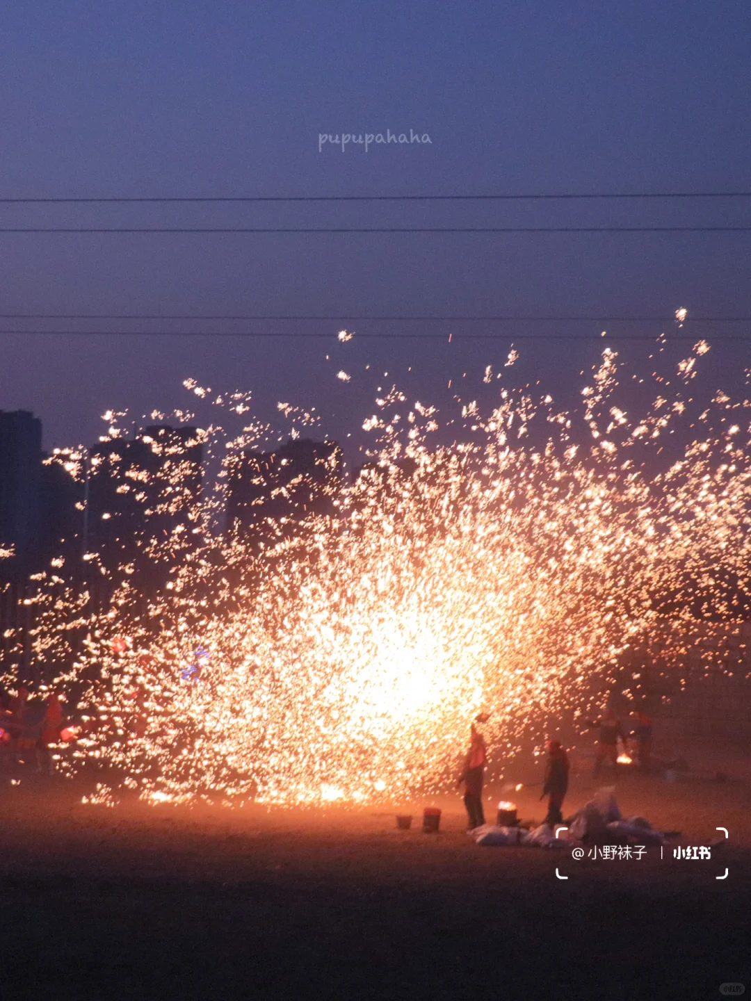 邢台到泉城| 不亏❗️迪士尼泉城分尼体验❗️