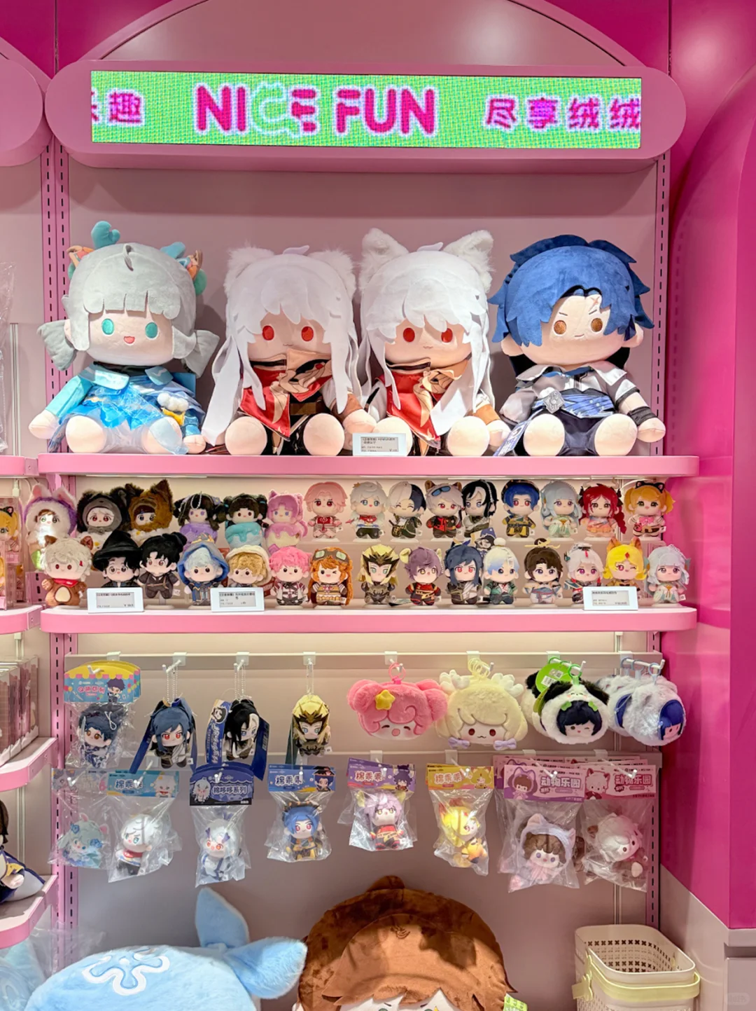 首家毛绒痛店❗❗它来啦🔈🔈