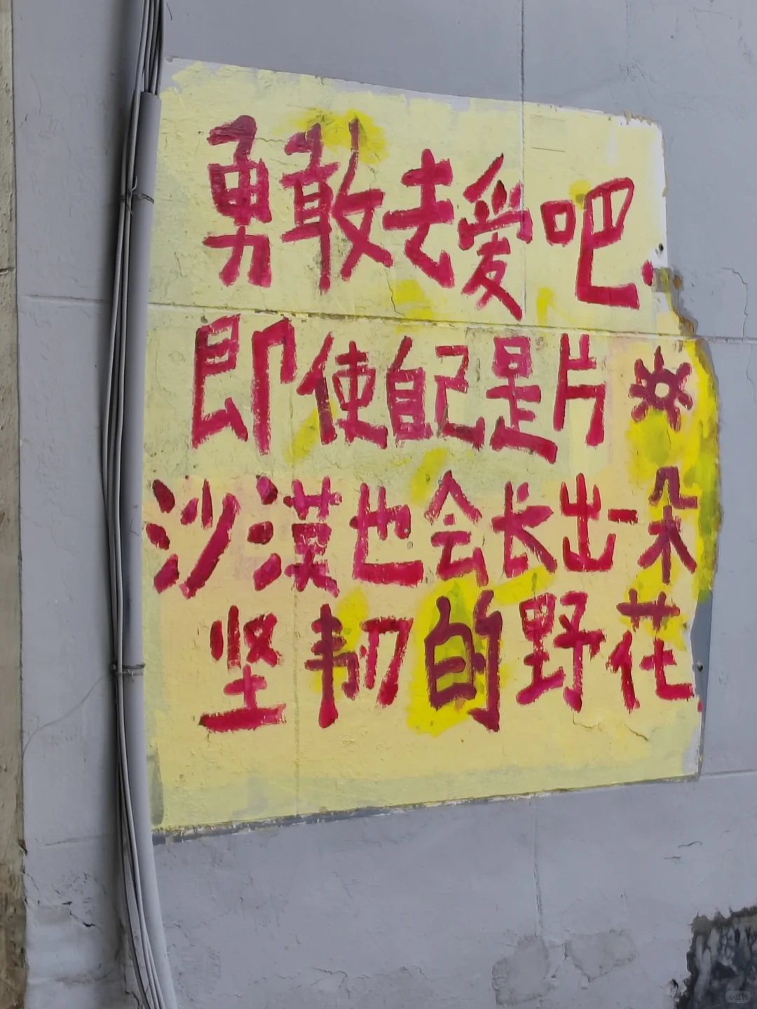 邢台之旅结束啦