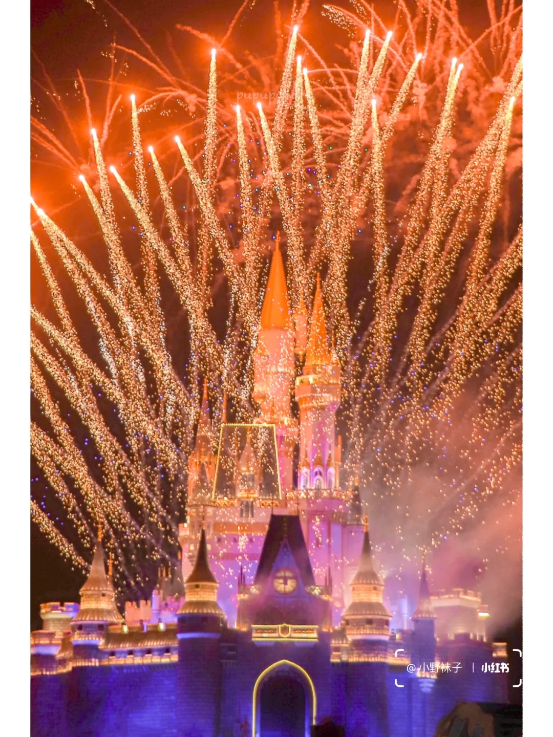 邢台到泉城| 不亏❗️迪士尼泉城分尼体验❗️