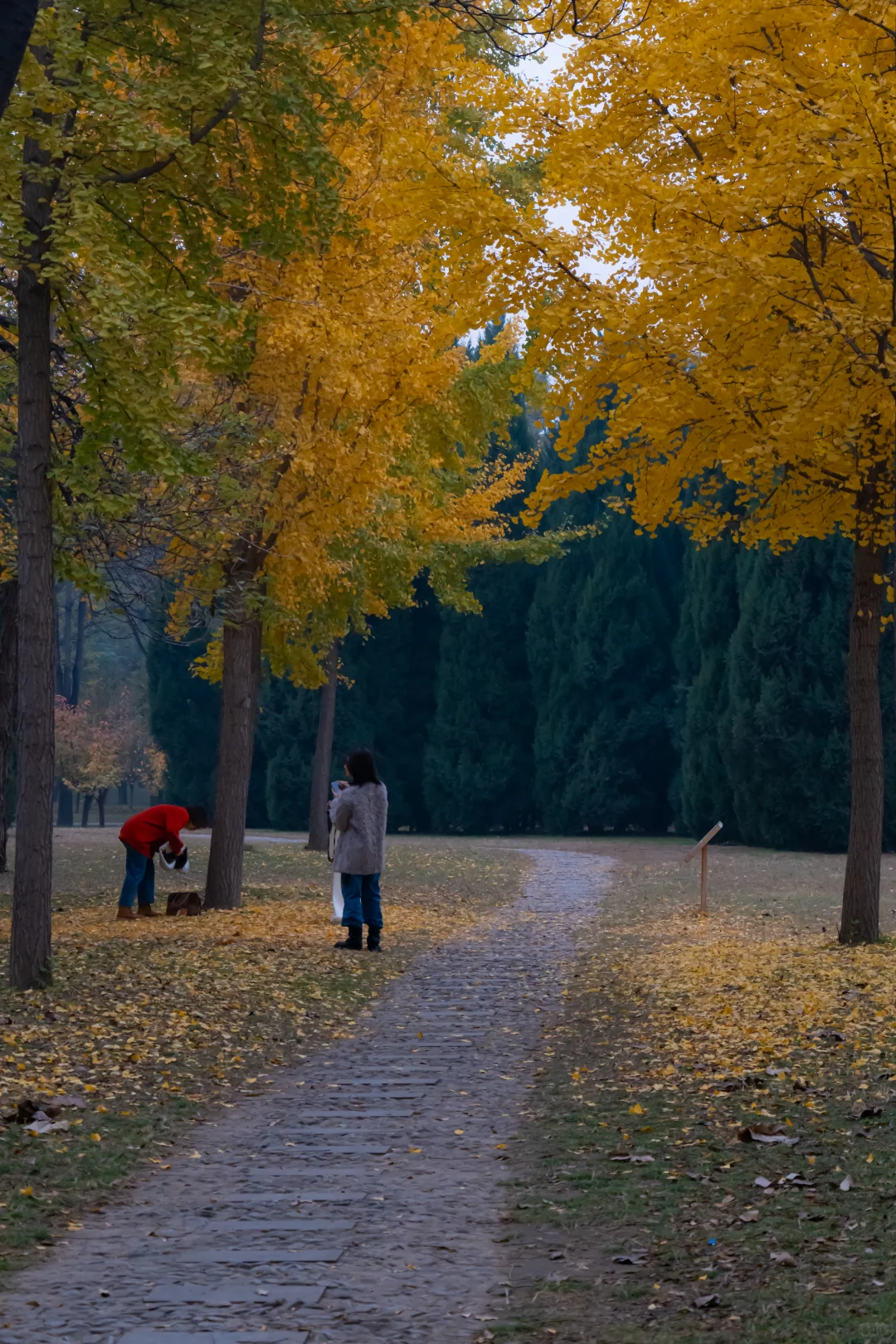 我刚知道...原来邢襄生态园就是森林公园