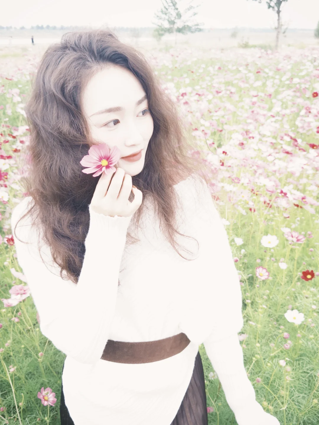 石家庄滹沱河太出片！！！大片格桑花