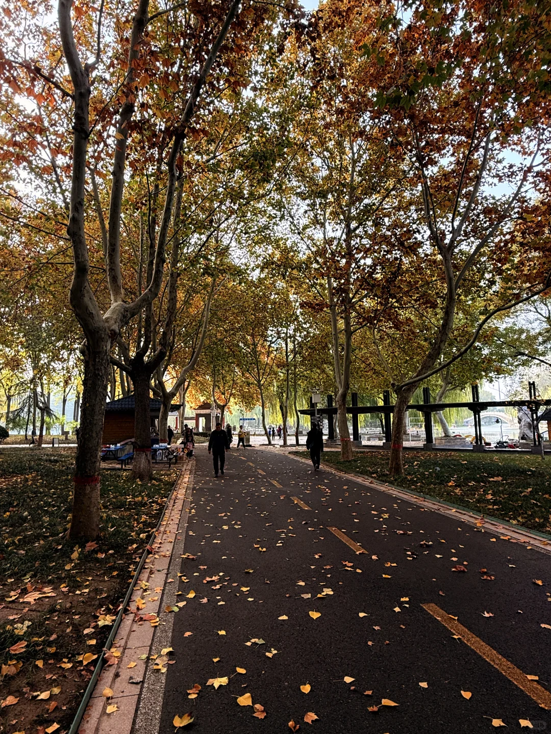 石家庄裕西公园