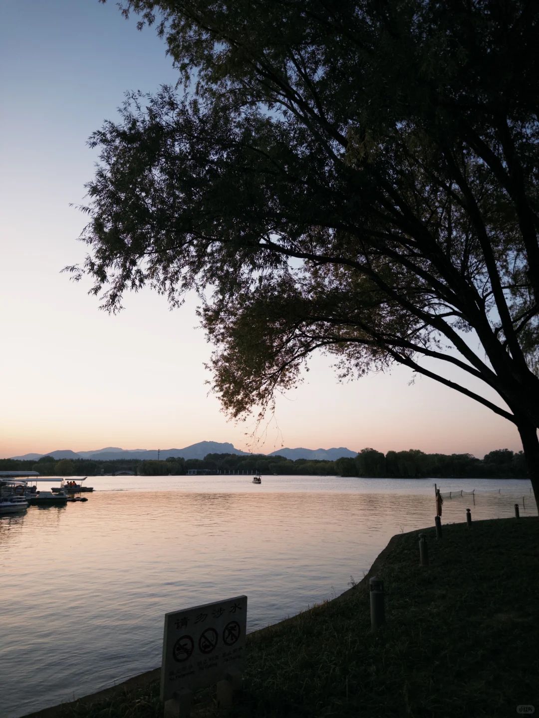 How time flies! 转眼又是满地落叶
