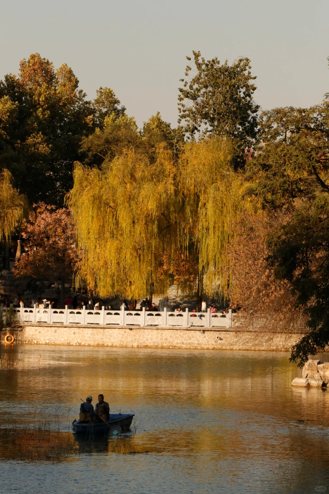 可惜你不在石家庄🍂