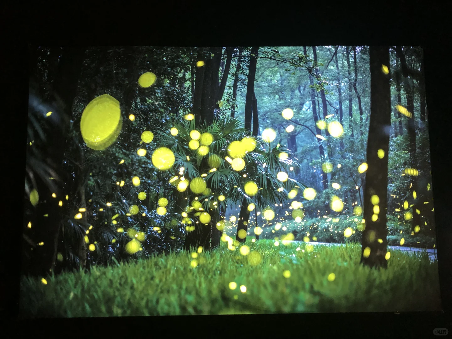 中国国家地理影像展｜石家庄看展