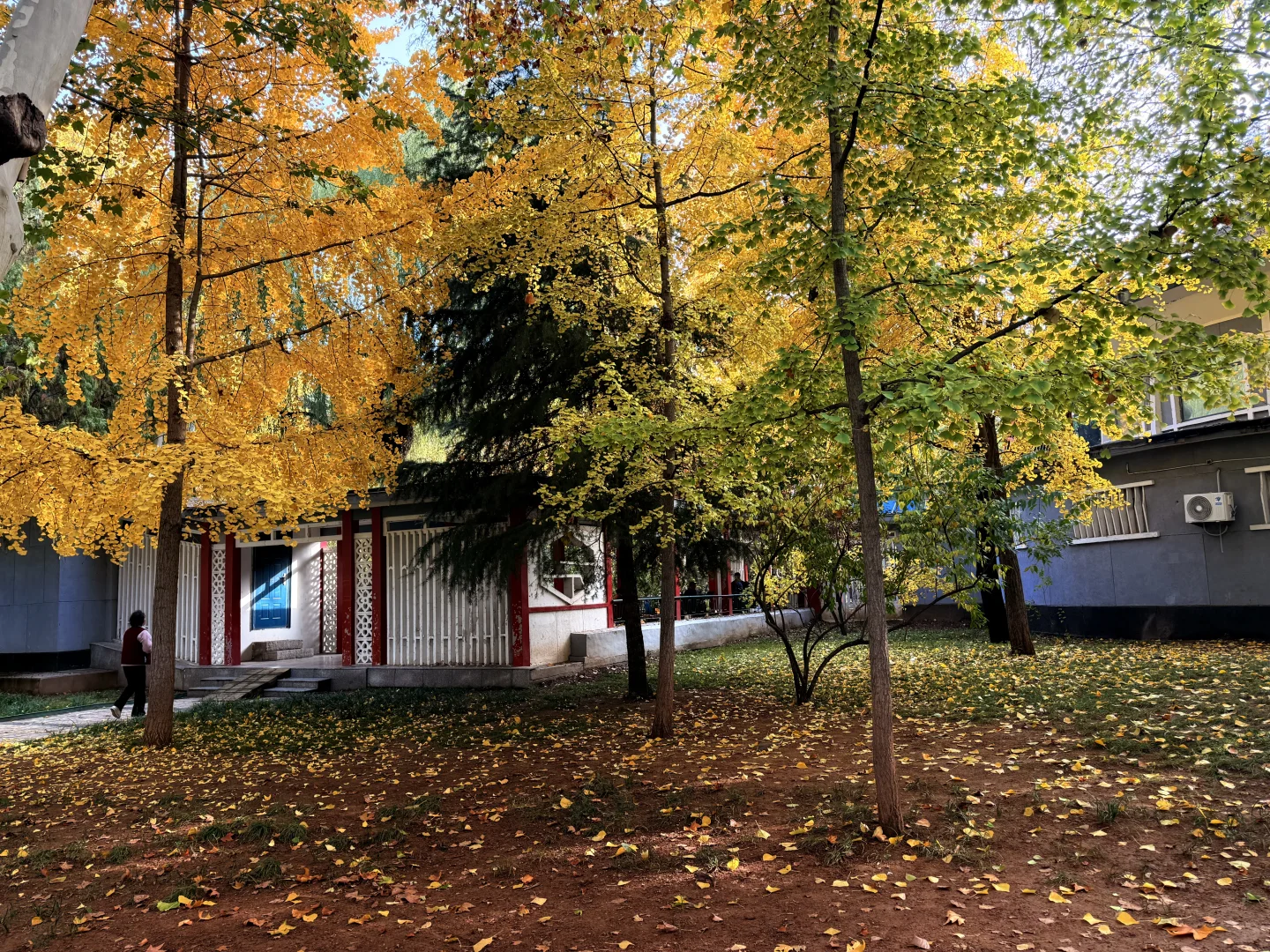 石家庄裕西公园