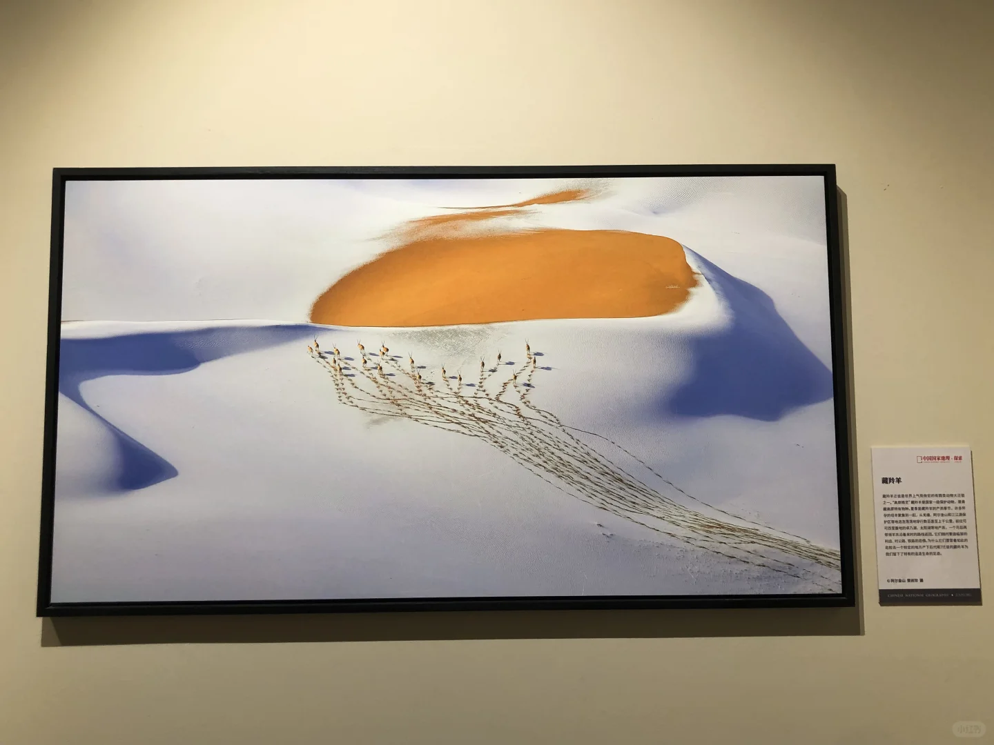 中国国家地理影像展｜石家庄看展