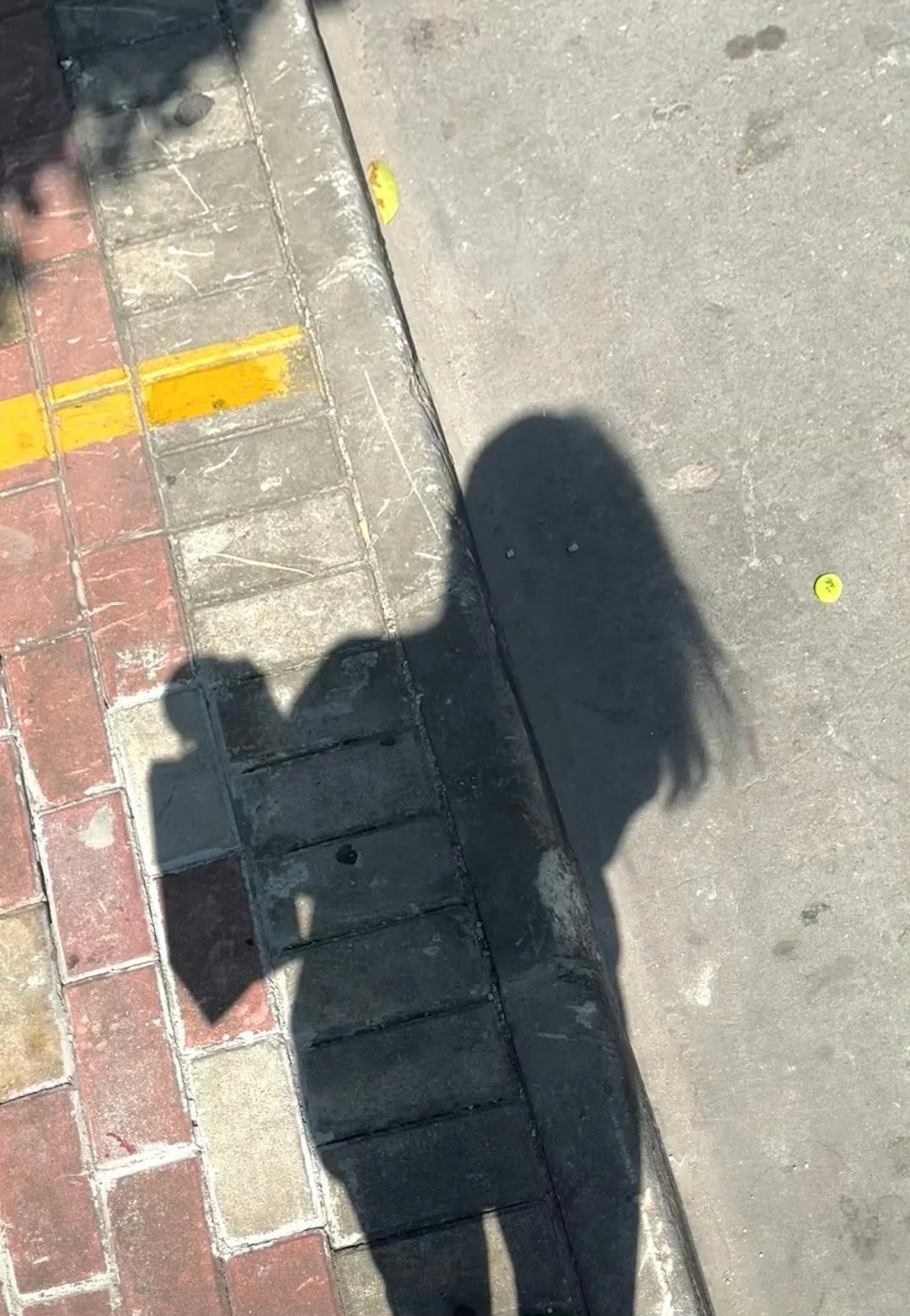 石家庄私教 🉑约体验课 安排