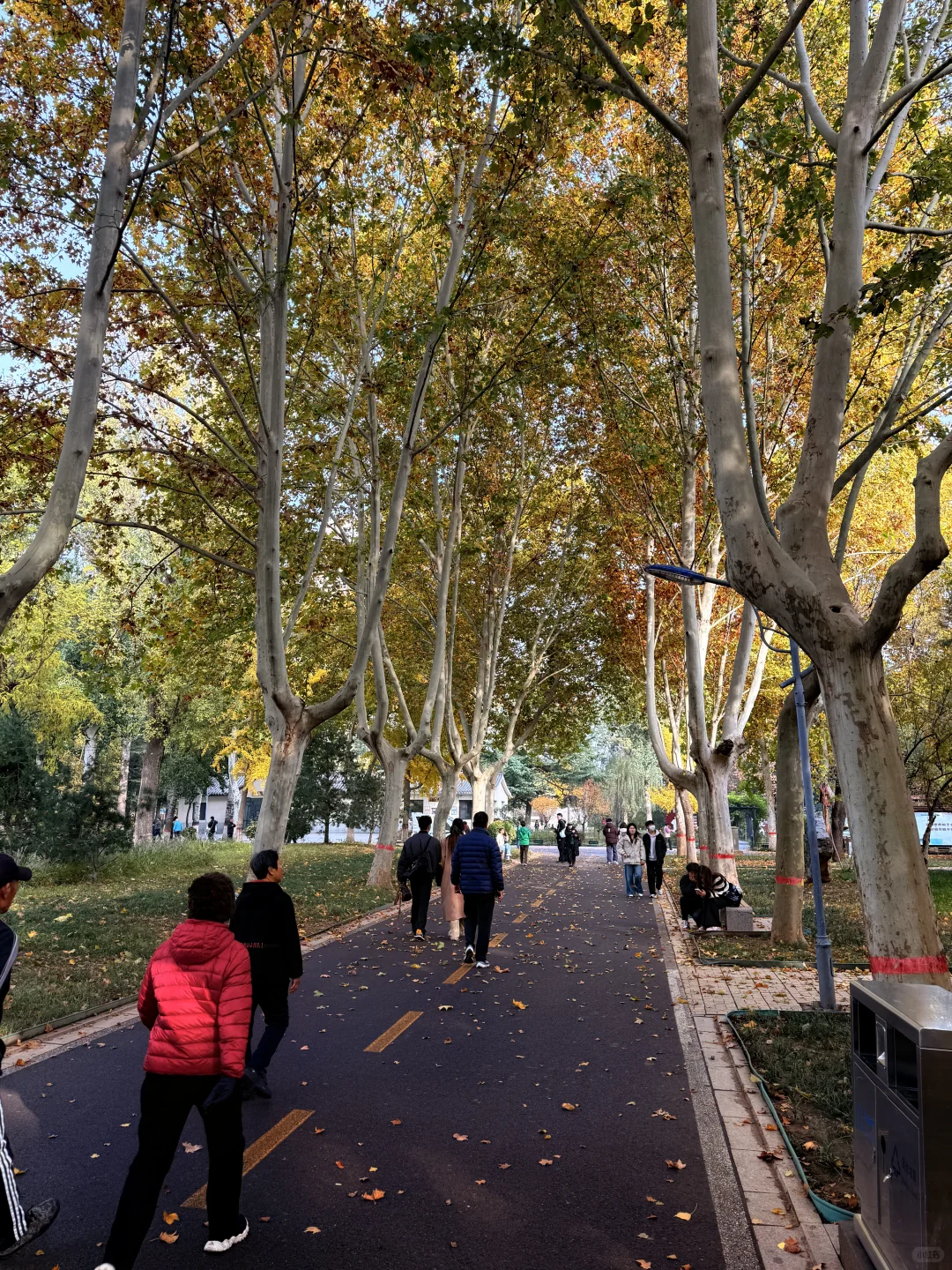 石家庄裕西公园