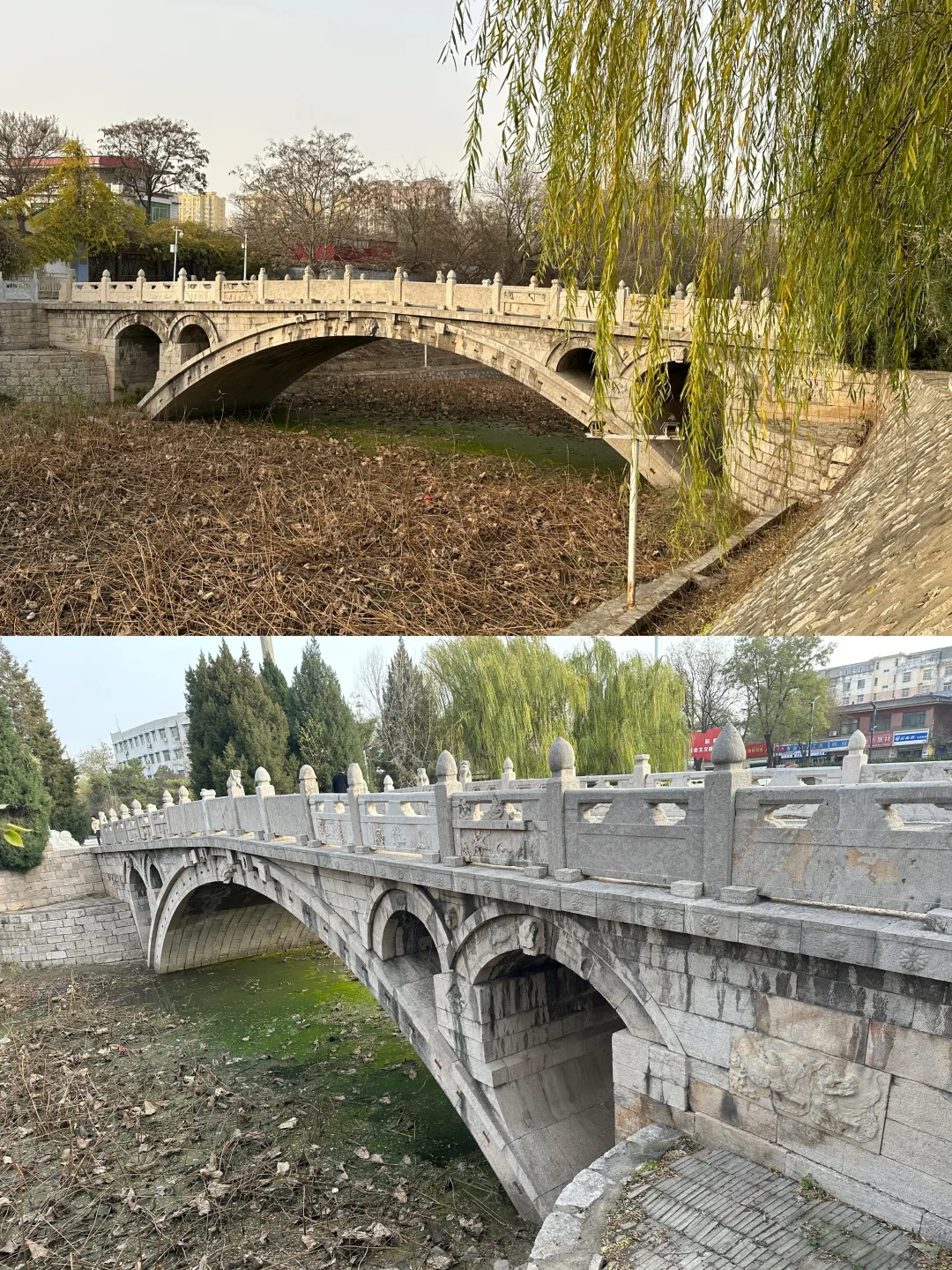 周末游之石家庄赵县访古一日游-国保5处！