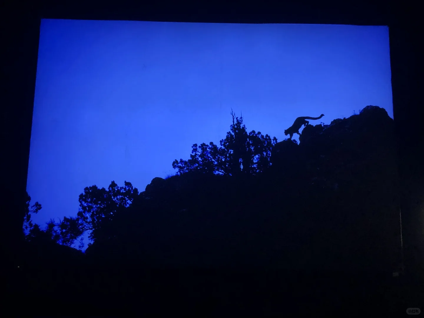 中国国家地理影像展｜石家庄看展