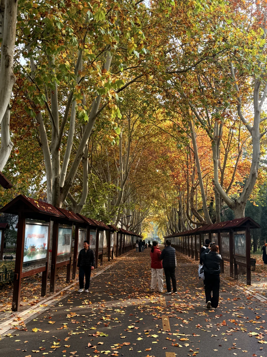 石家庄裕西公园