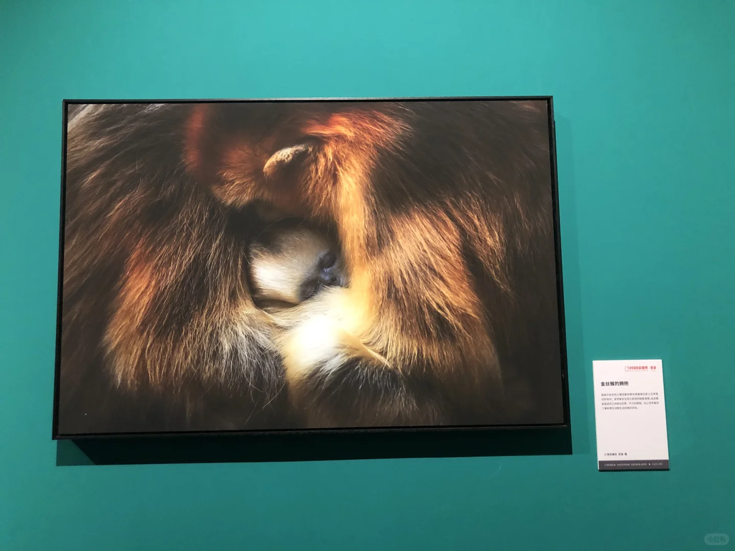 中国国家地理影像展｜石家庄看展