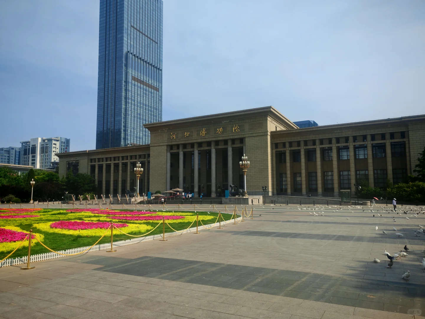 周末到河北，石家庄的夜景太美了