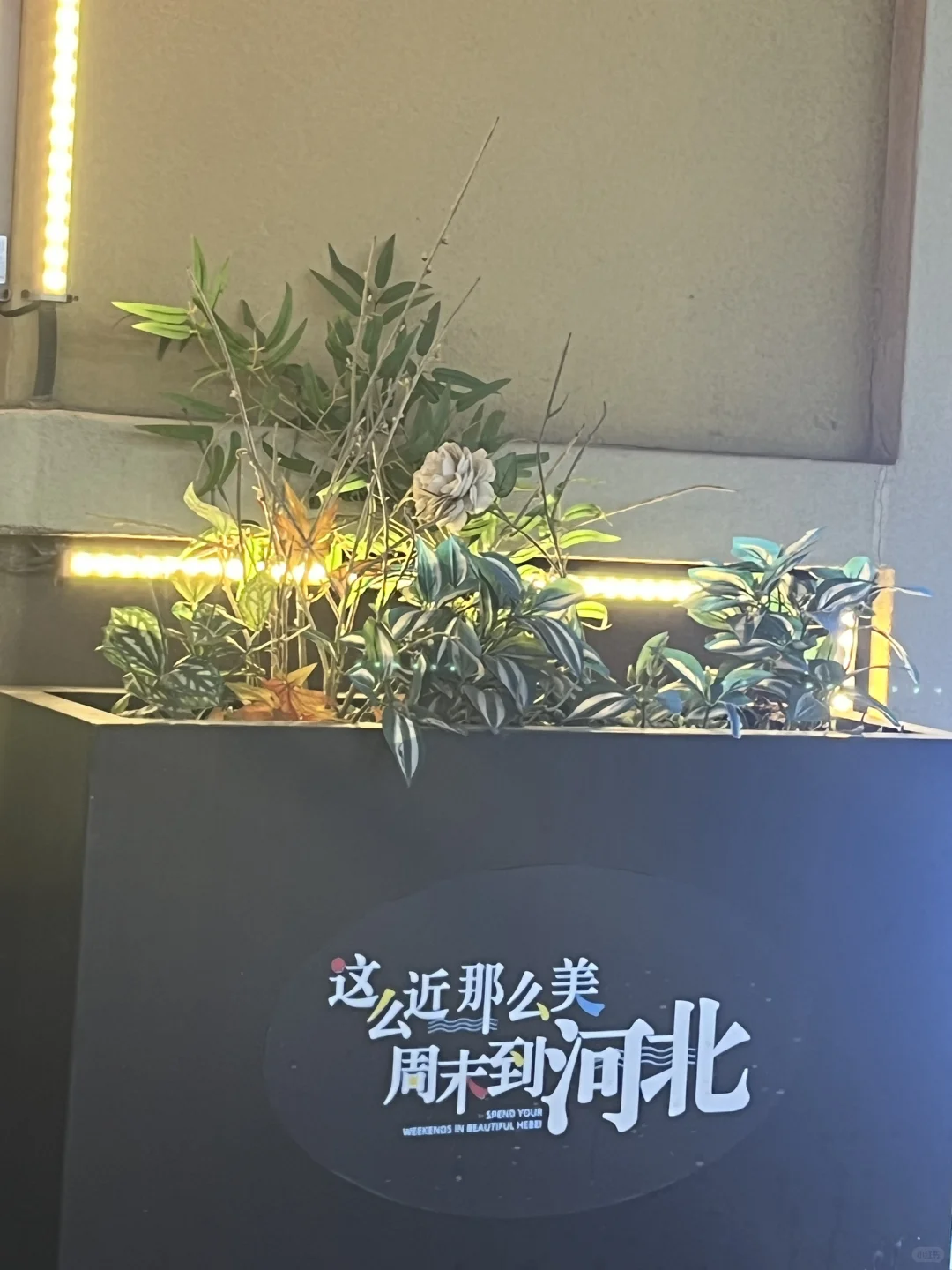 换乘小旅OK！感谢小红书网友