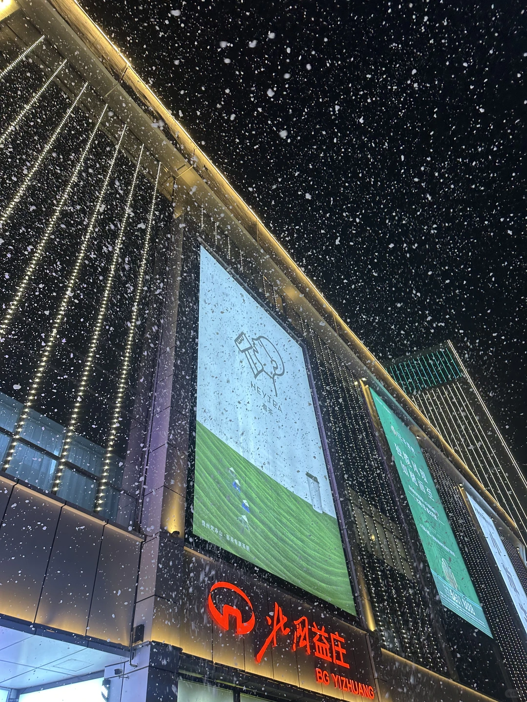 石家庄下雪啦