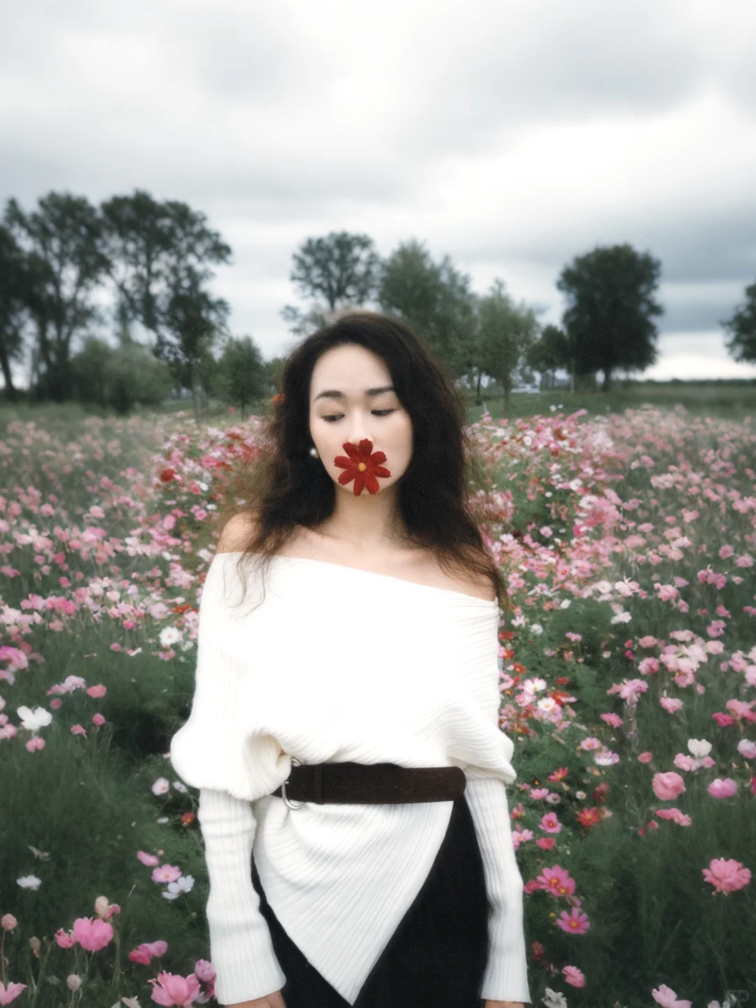 石家庄滹沱河太出片！！！大片格桑花