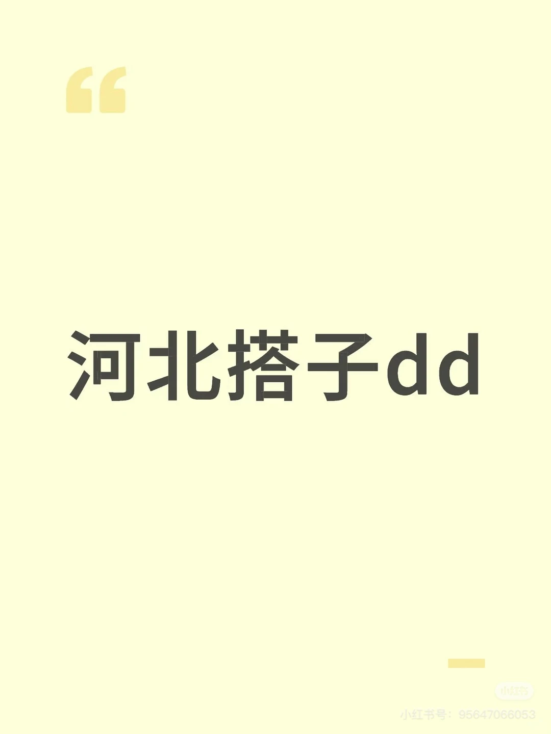 石家庄聊天搭子