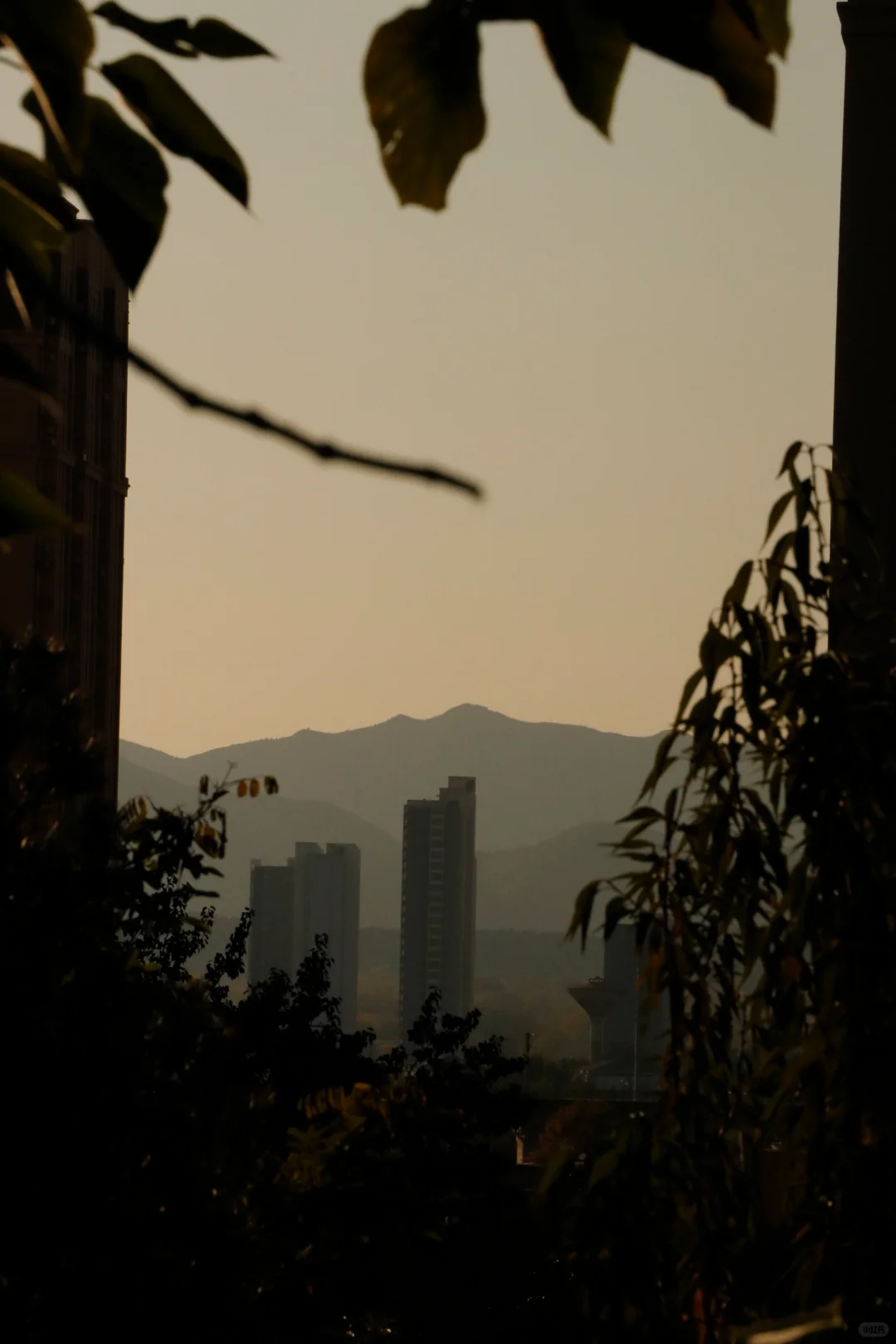 可惜你不在石家庄🍂