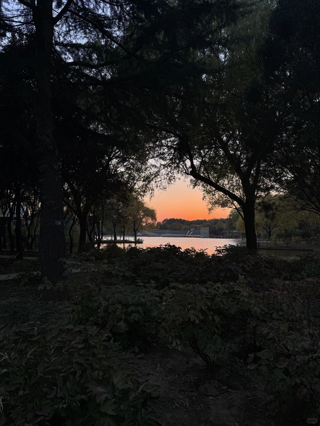 How time flies! 转眼又是满地落叶