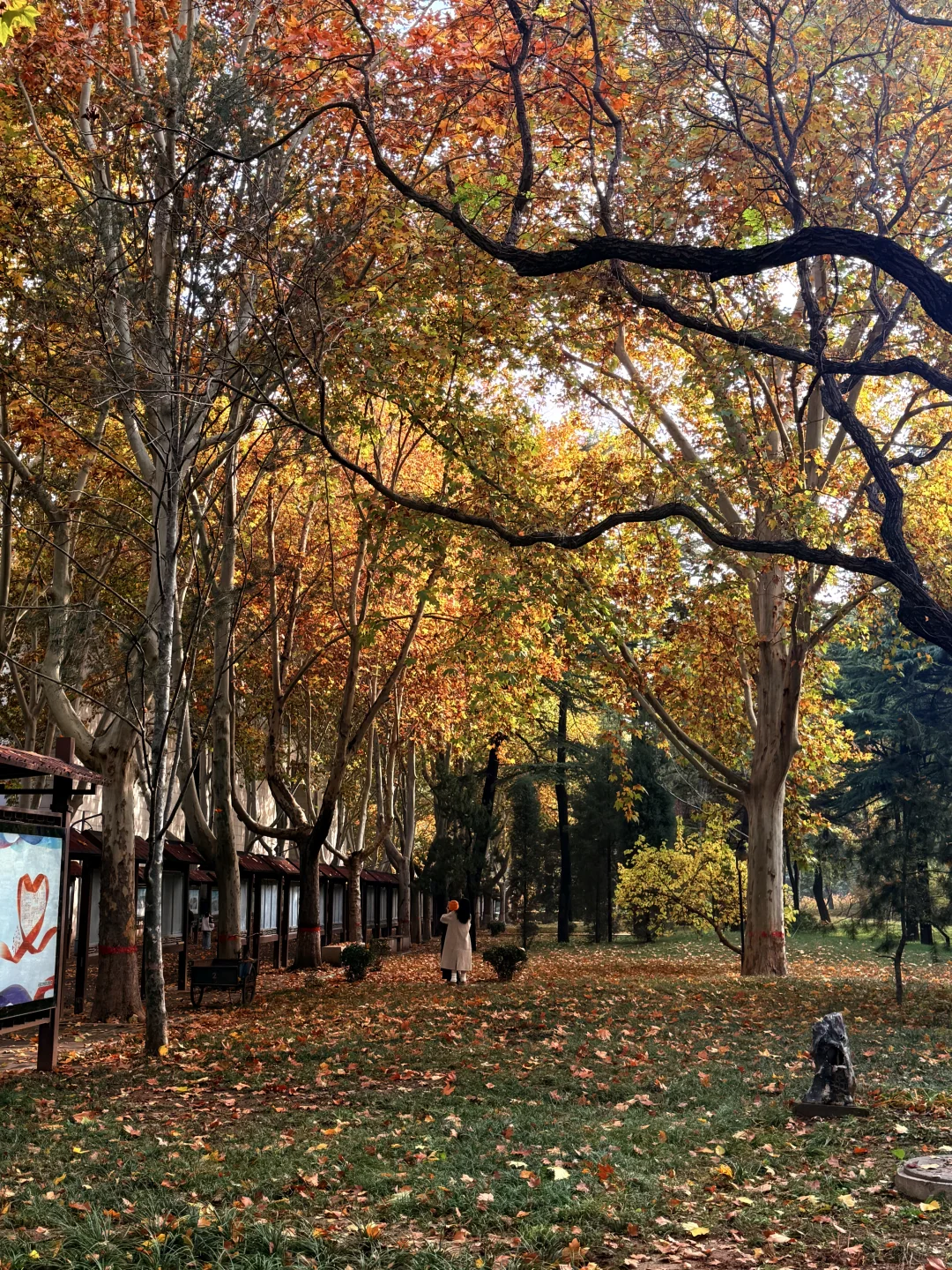 石家庄裕西公园