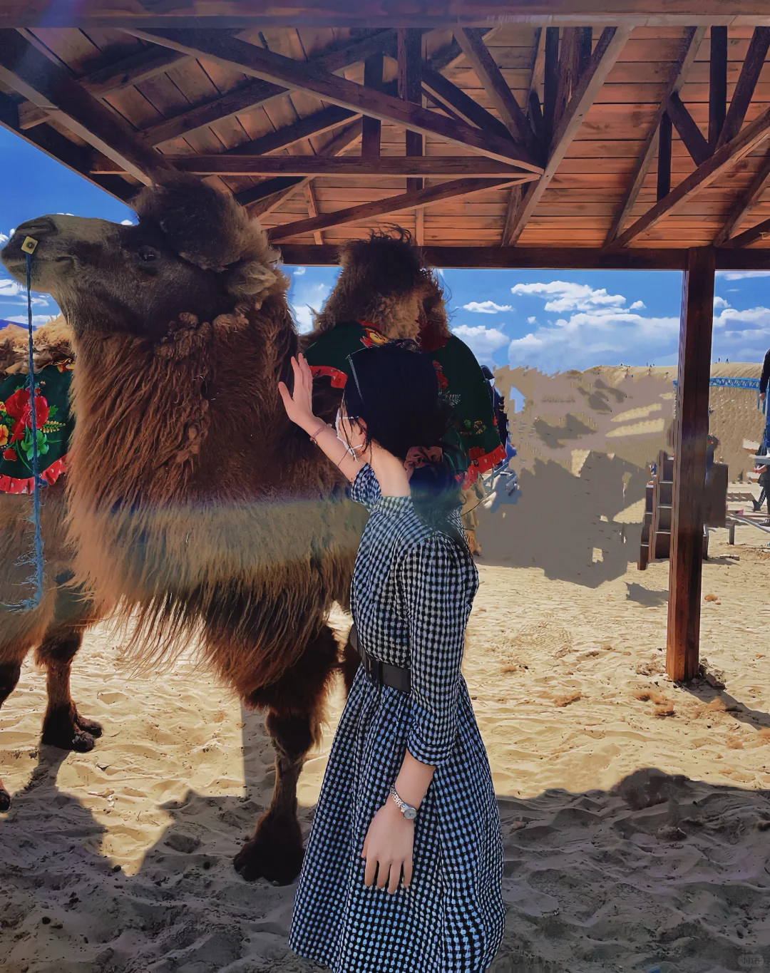 单身 被催婚……