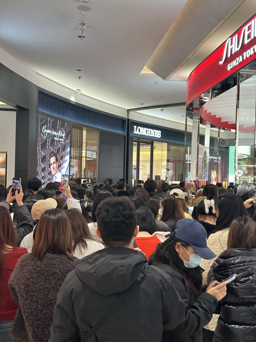 今天石家庄的人都在这了吧