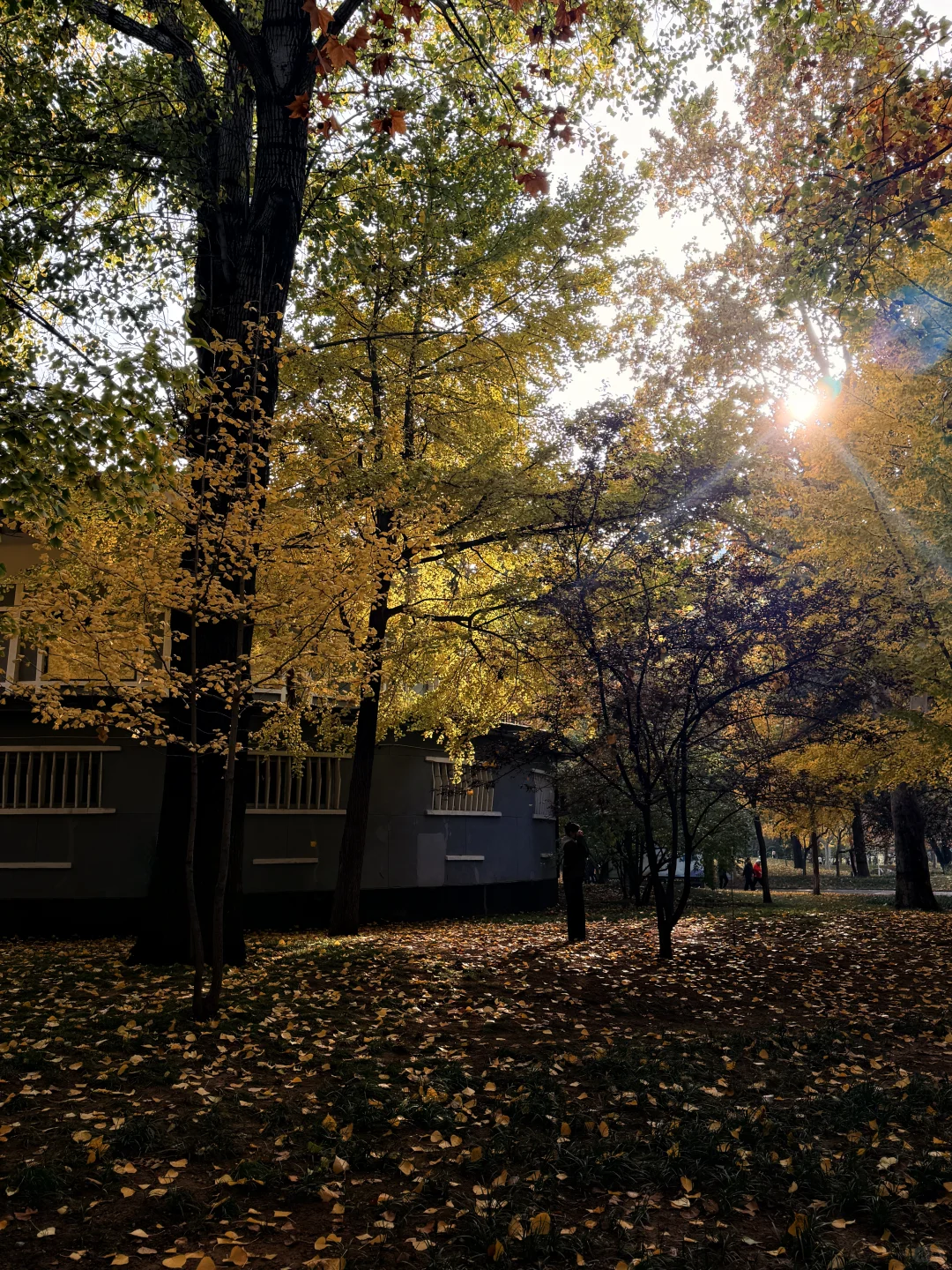 石家庄裕西公园